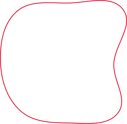 faq-border-1-12